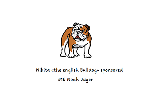 Kopfsponsor-nikita